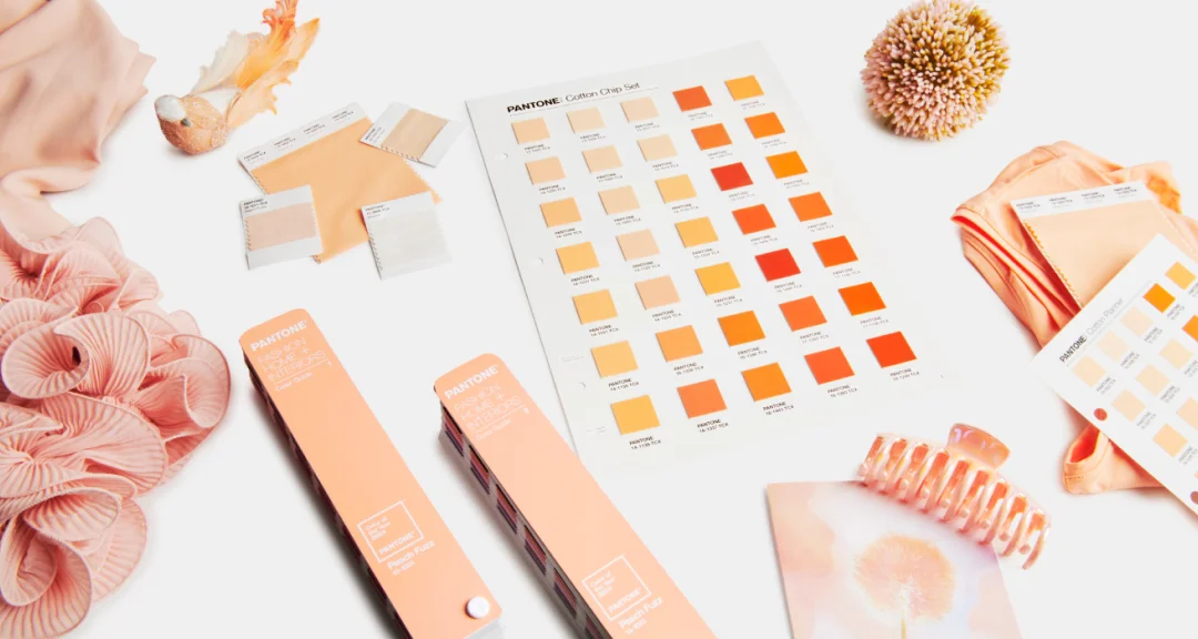 Foto: Pantone Peach Fuzz 2024 / Reprodução